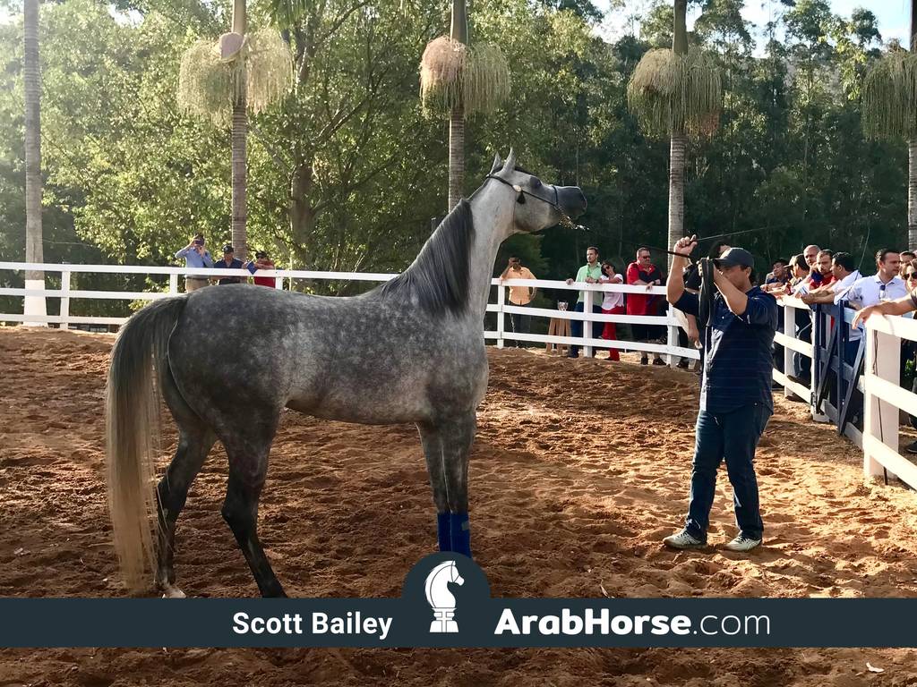 Haras Vale Formoso OPEN HOUSE 2018 BRAZIL