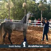 Haras Vale Formoso OPEN HOUSE 2018 BRAZIL