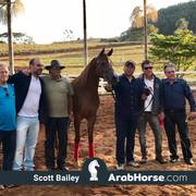 Haras Vale Formoso OPEN HOUSE 2018 BRAZIL