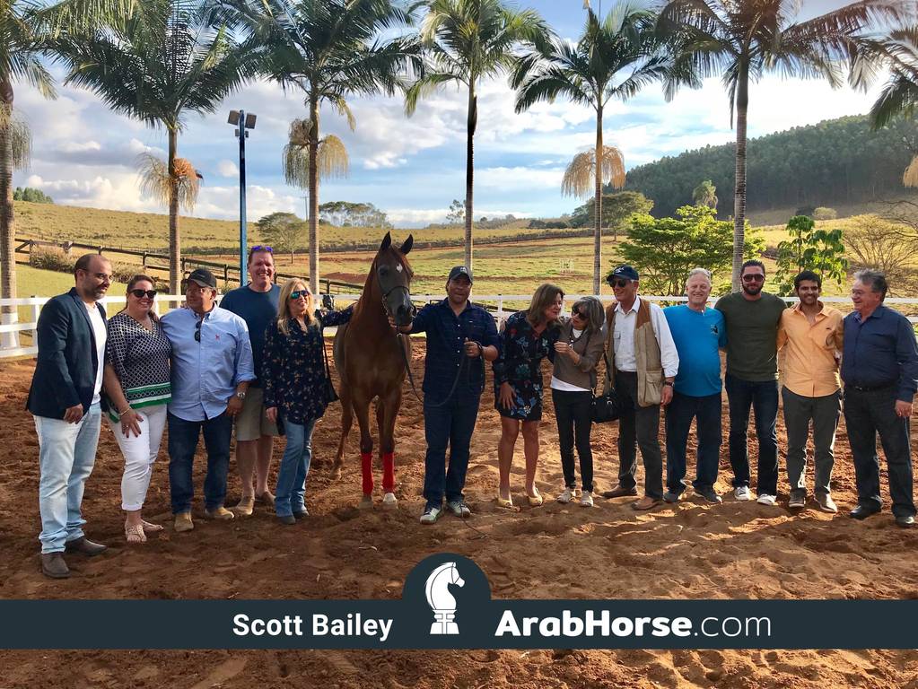 Haras Vale Formoso OPEN HOUSE 2018 BRAZIL