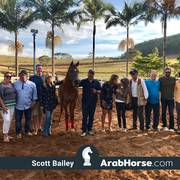 Haras Vale Formoso OPEN HOUSE 2018 BRAZIL