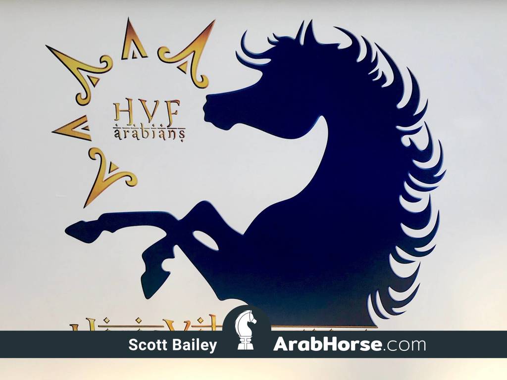 Haras Vale Formoso OPEN HOUSE 2018 BRAZIL