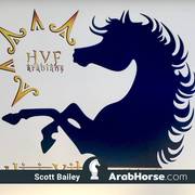 Haras Vale Formoso OPEN HOUSE 2018 BRAZIL