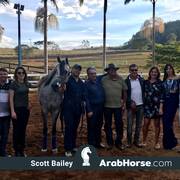 Haras Vale Formoso OPEN HOUSE 2018 BRAZIL
