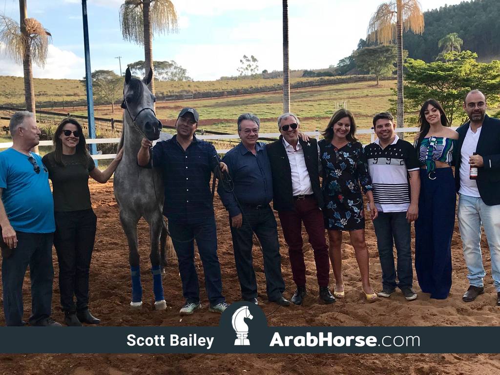 Haras Vale Formoso OPEN HOUSE 2018 BRAZIL