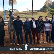 Haras Vale Formoso OPEN HOUSE 2018 BRAZIL