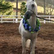 Haras Vale Formoso OPEN HOUSE 2018 BRAZIL