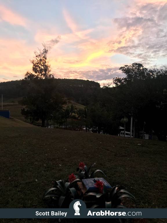 Haras Vale Formoso OPEN HOUSE 2018 BRAZIL