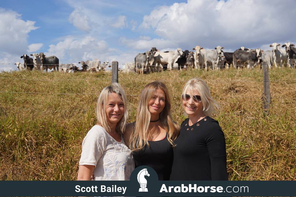 Haras Vale Formoso OPEN HOUSE 2018 BRAZIL