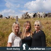 Haras Vale Formoso OPEN HOUSE 2018 BRAZIL