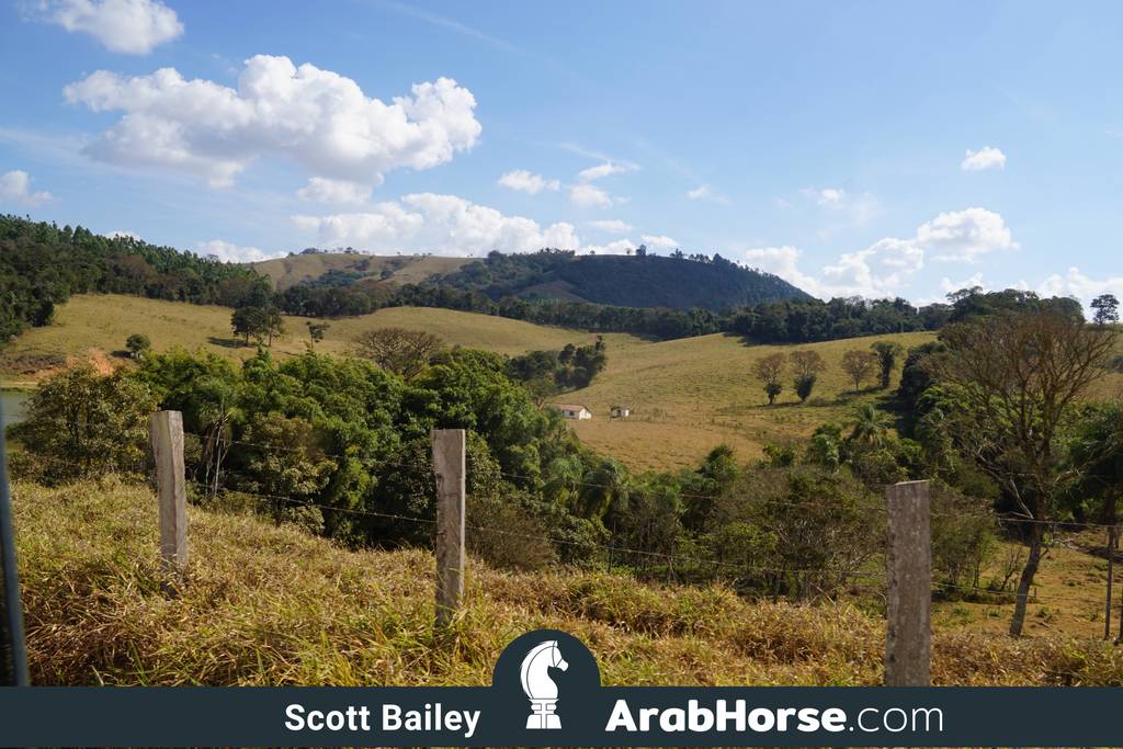 Haras Vale Formoso OPEN HOUSE 2018 BRAZIL