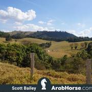 Haras Vale Formoso OPEN HOUSE 2018 BRAZIL