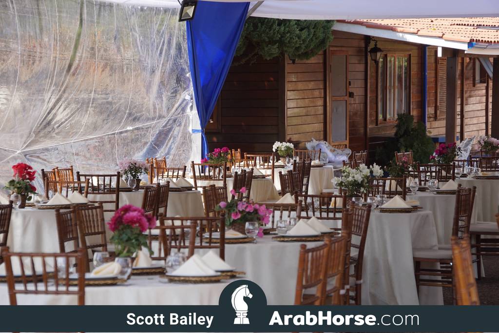 Haras Vale Formoso OPEN HOUSE 2018 BRAZIL