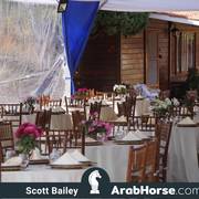 Haras Vale Formoso OPEN HOUSE 2018 BRAZIL