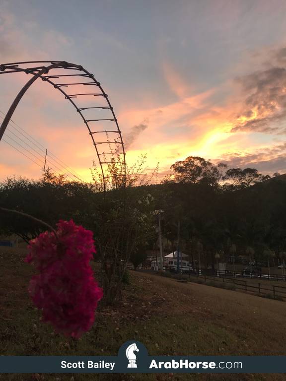 Haras Vale Formoso OPEN HOUSE 2018 BRAZIL