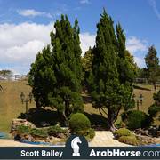 Haras Vale Formoso OPEN HOUSE 2018 BRAZIL