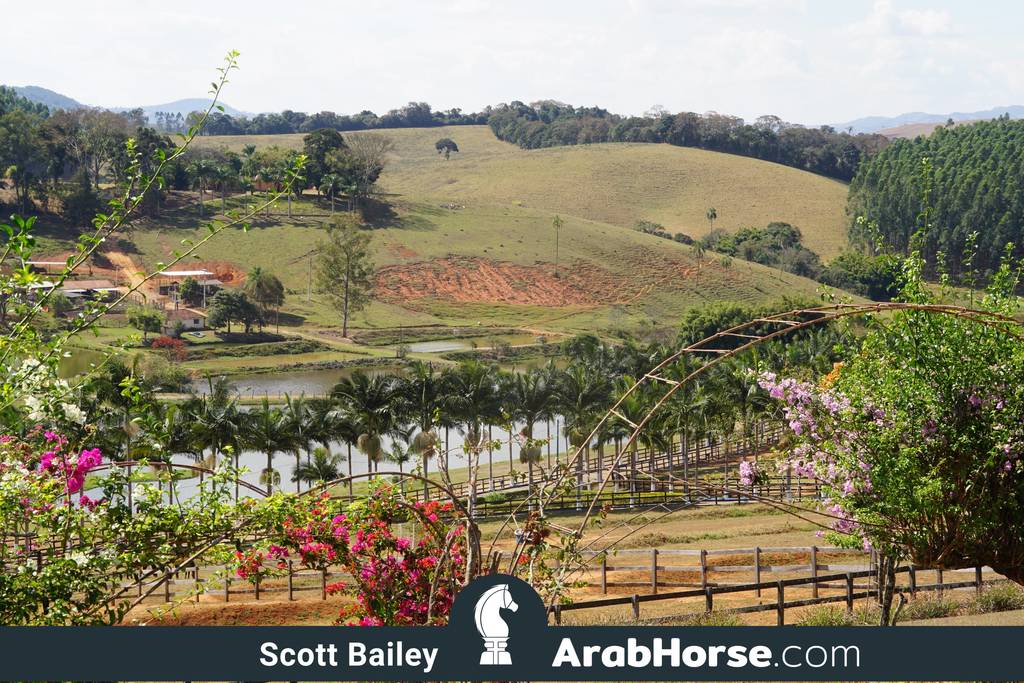 Haras Vale Formoso OPEN HOUSE 2018 BRAZIL