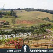 Haras Vale Formoso OPEN HOUSE 2018 BRAZIL