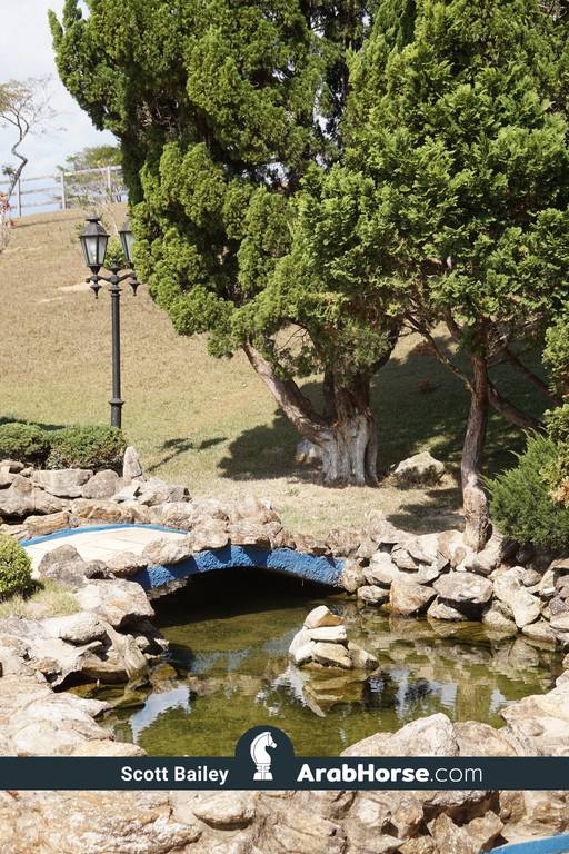 Haras Vale Formoso OPEN HOUSE 2018 BRAZIL