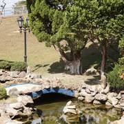 Haras Vale Formoso OPEN HOUSE 2018 BRAZIL