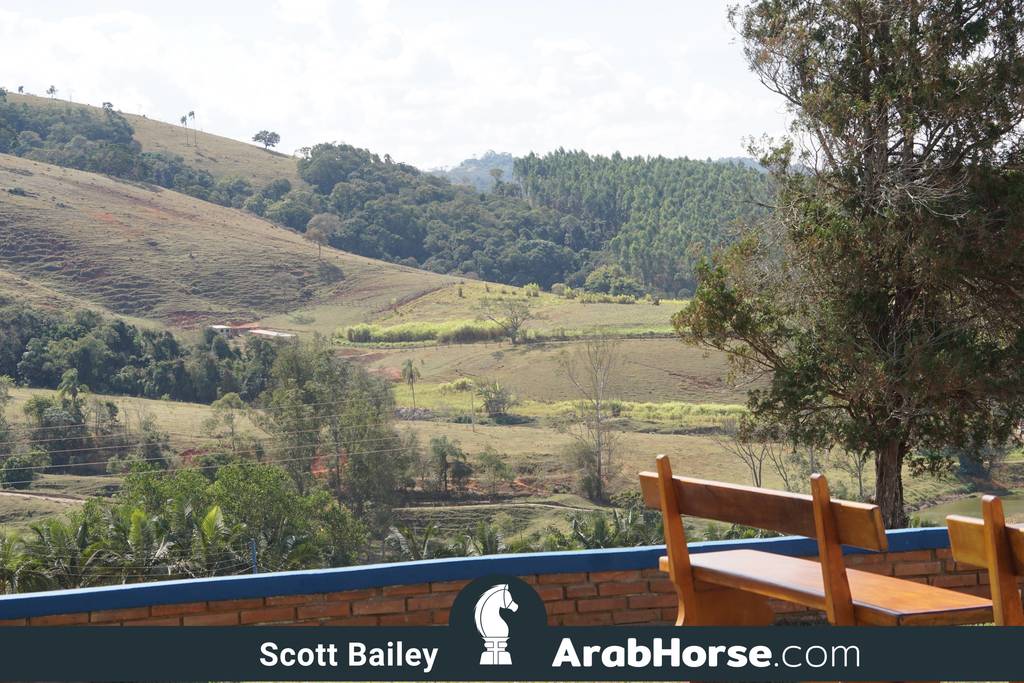 Haras Vale Formoso OPEN HOUSE 2018 BRAZIL