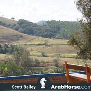 Haras Vale Formoso OPEN HOUSE 2018 BRAZIL