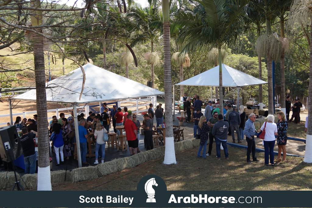 Haras Vale Formoso OPEN HOUSE 2018 BRAZIL
