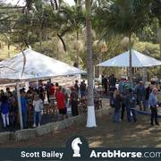 Haras Vale Formoso OPEN HOUSE 2018 BRAZIL