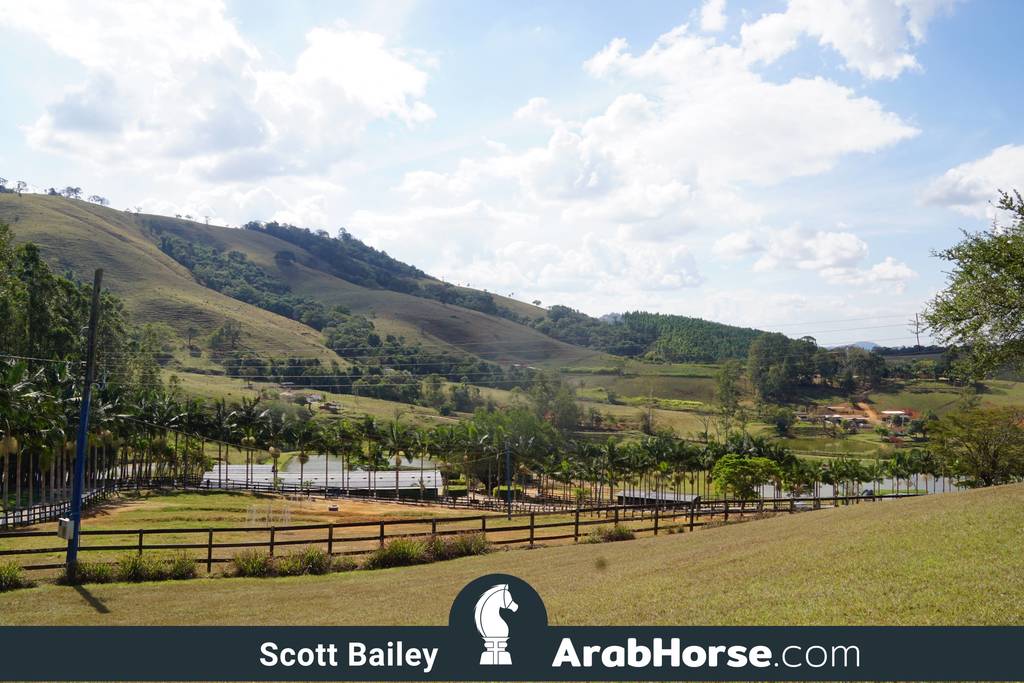 Haras Vale Formoso OPEN HOUSE 2018 BRAZIL