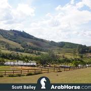 Haras Vale Formoso OPEN HOUSE 2018 BRAZIL