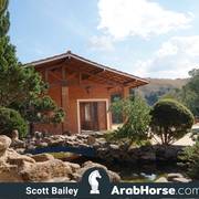 Haras Vale Formoso OPEN HOUSE 2018 BRAZIL