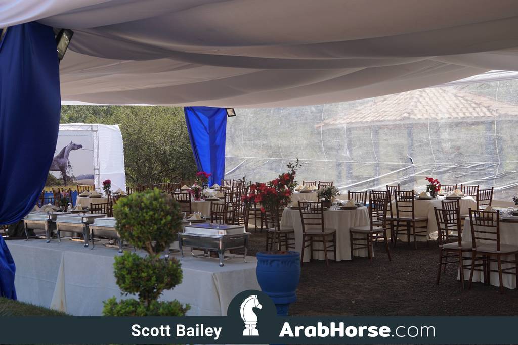 Haras Vale Formoso OPEN HOUSE 2018 BRAZIL