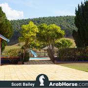 Haras Vale Formoso OPEN HOUSE 2018 BRAZIL