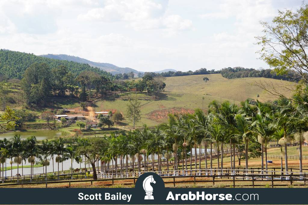 Haras Vale Formoso OPEN HOUSE 2018 BRAZIL