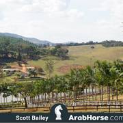 Haras Vale Formoso OPEN HOUSE 2018 BRAZIL