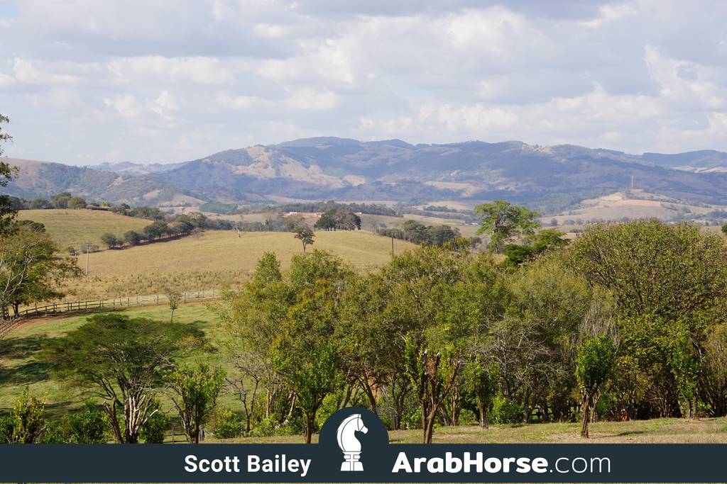 Haras Vale Formoso OPEN HOUSE 2018 BRAZIL