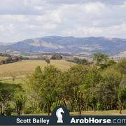 Haras Vale Formoso OPEN HOUSE 2018 BRAZIL