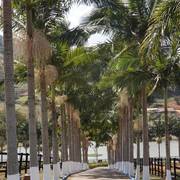 Haras Vale Formoso OPEN HOUSE 2018 BRAZIL