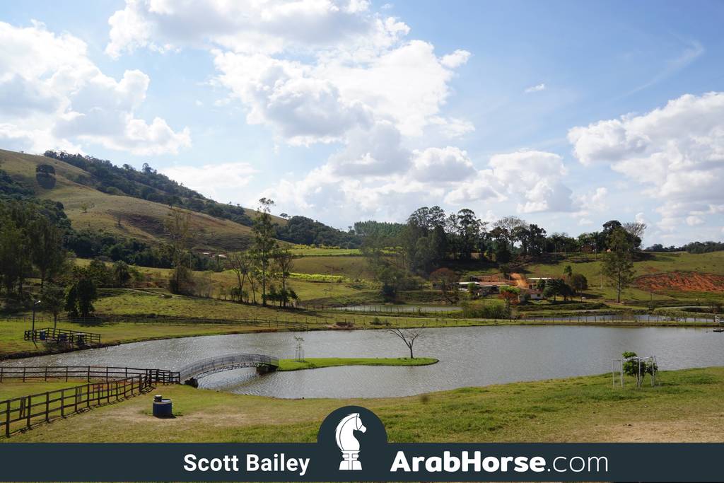 Haras Vale Formoso OPEN HOUSE 2018 BRAZIL