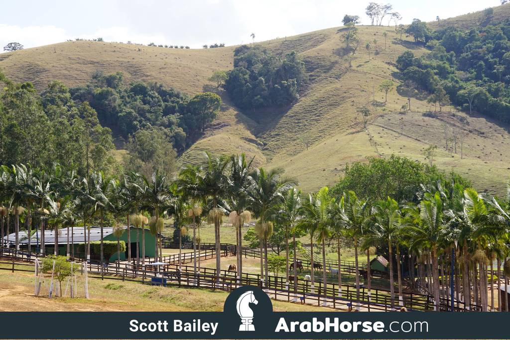 Haras Vale Formoso OPEN HOUSE 2018 BRAZIL