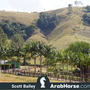 Haras Vale Formoso OPEN HOUSE 2018 BRAZIL