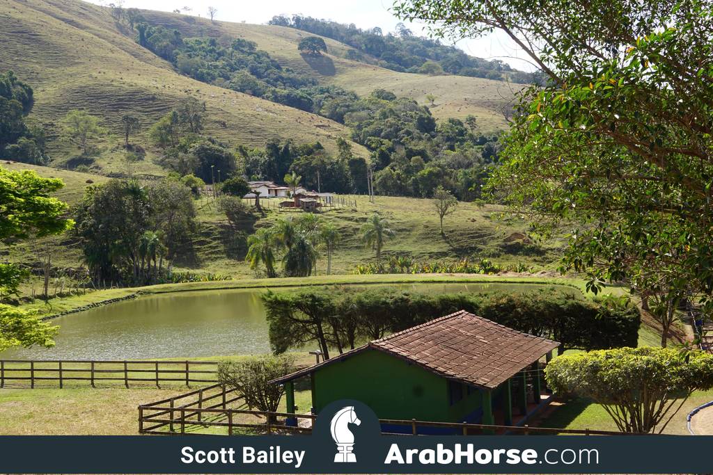 Haras Vale Formoso OPEN HOUSE 2018 BRAZIL