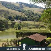 Haras Vale Formoso OPEN HOUSE 2018 BRAZIL
