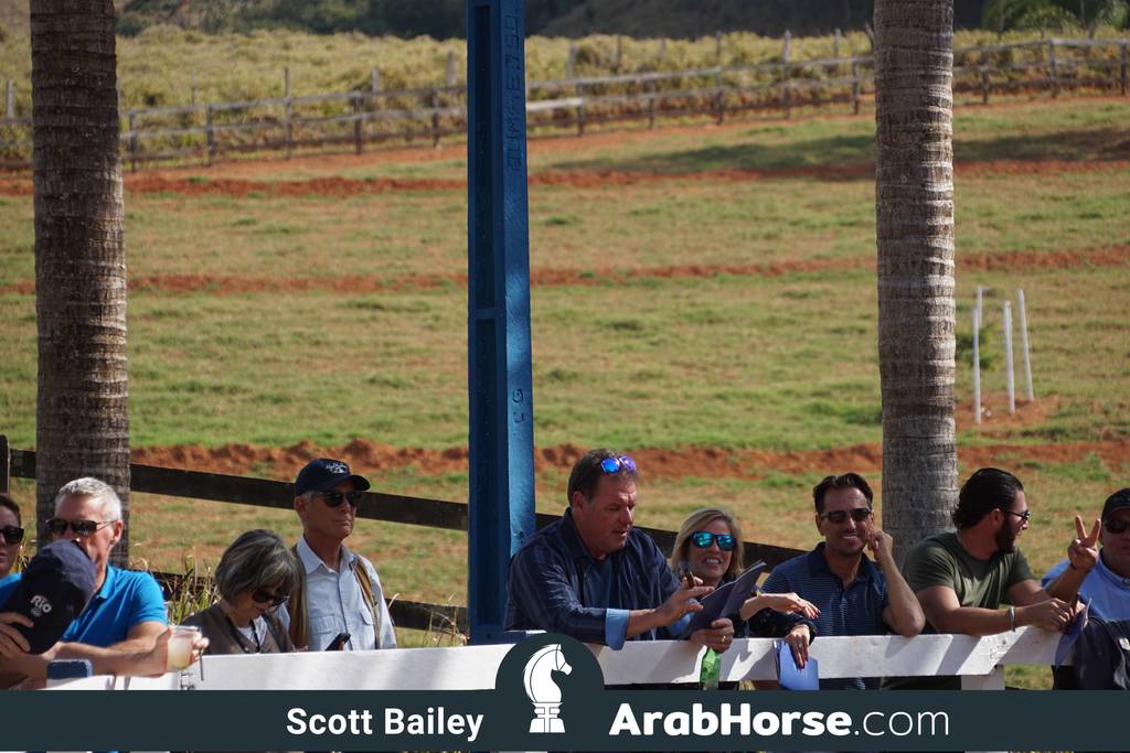 Haras Vale Formoso OPEN HOUSE 2018 BRAZIL