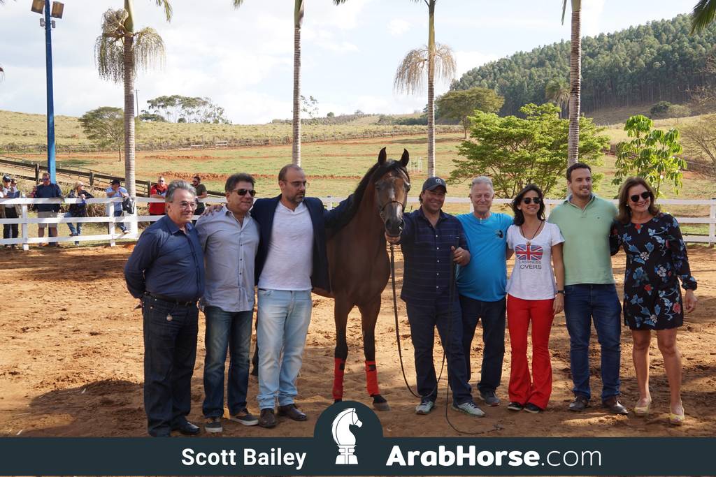 Haras Vale Formoso OPEN HOUSE 2018 BRAZIL