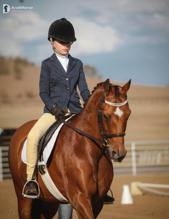 2nd Australian Arabian Youth National Championships