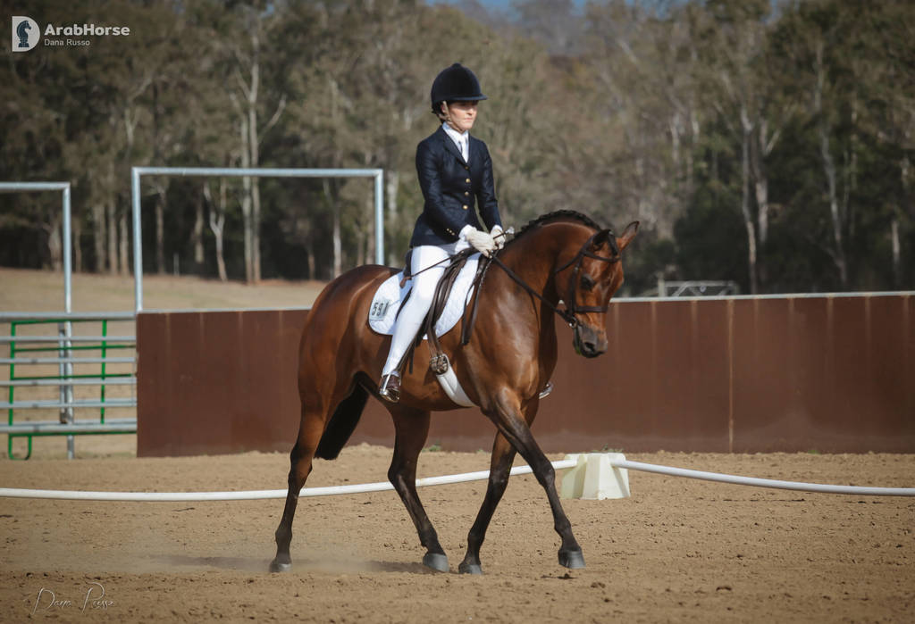 2nd Australian Arabian Youth National Championships