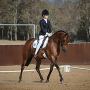 2nd Australian Arabian Youth National Championships
