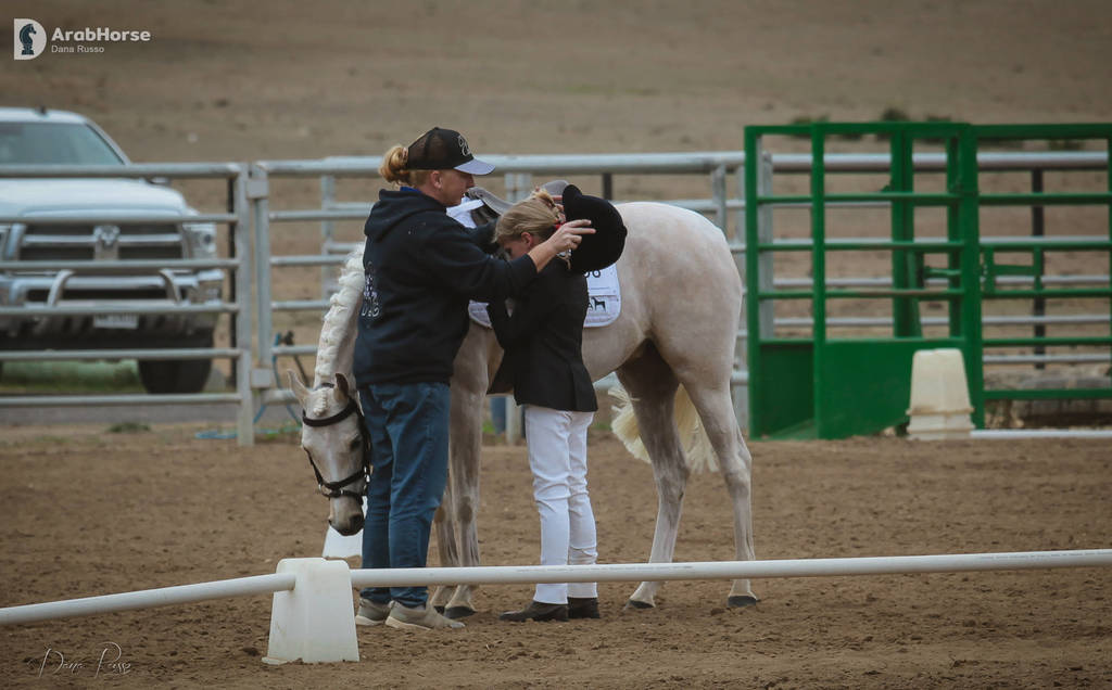 2nd Australian Arabian Youth National Championships
