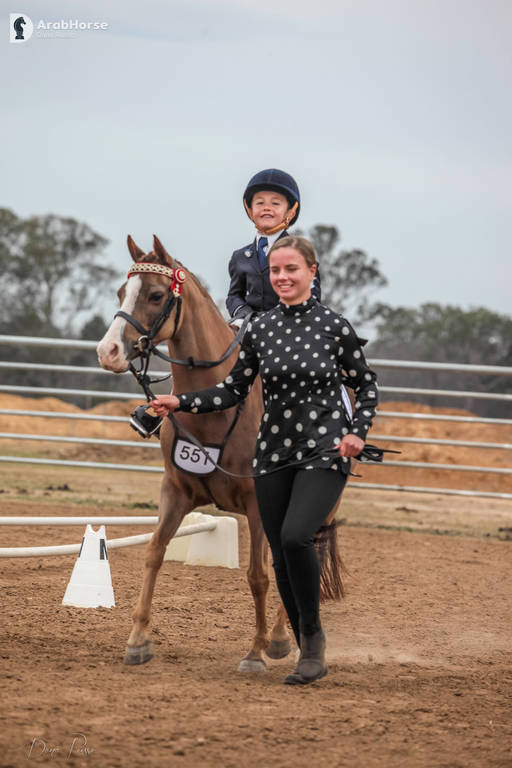 2nd Australian Arabian Youth National Championships